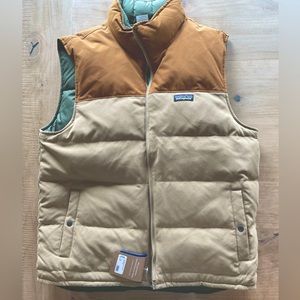 Patagonia Men's Reversible Bivy Down Vest